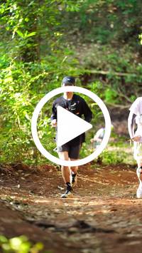 BIB:  <button type="button" onclick="openModal(27821771)" class="btn btn-primary btn-sm float-right" data-toggle="modal" data-target=".modal-high-quality">
                <i class="fa fa-download"></i> Download
                </button>